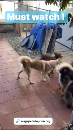 8.8K views · 260 reactions | Must watch - first time ever in 14...