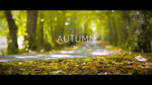 1.3K views · 20 reactions | From countryside rambles and wildlife spotting to dog walks along windswept beaches and steaming hot fish and chips by the sea — welcome to autumn on the Suffolk Coast...  | The Suffolk Coast | Facebook