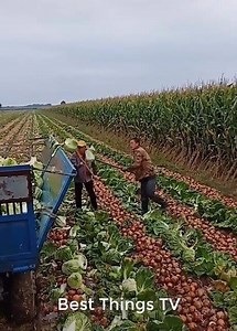 734K views · 3.1K reactions | Amazing Skills and Technology, Unbelievable  | Media 2 | Facebook