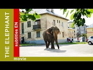 The Elephant. Russian Movie. Adventure. Comedy. English Subtitles. The Rock Films.