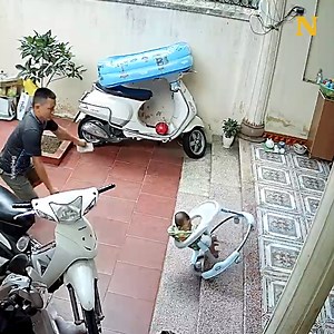 26M views · 420K reactions | These parents reflexes are really like super powers   | Newsner.com | Facebook