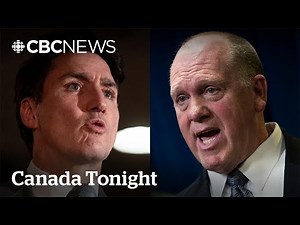 Canada has neglected border security for a decade: ex-CBSA agent | Canada Tonight