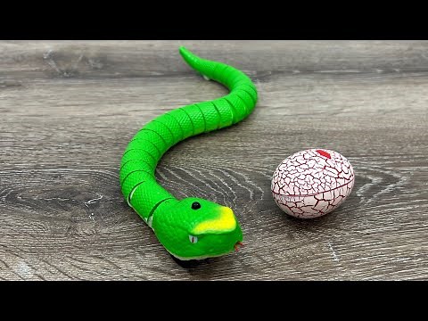 Remote Control SNAKE
