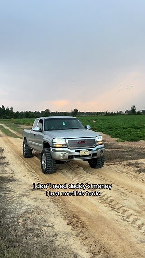 look at allem chickens