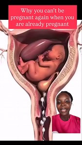 Pregnancy hormones stops ovulation. No eggs will be released and do no other pregnancy will occur again . | Midwife Sally