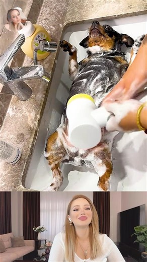 Happy Dogs During Bath Time | Funny Animal Videos