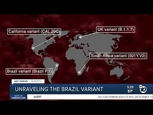 In Depth: What we know about the Brazil Variant