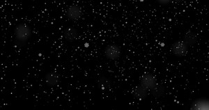 Snow falling. Snowflakes slowly flying down on transparent background. Seamlessly looped overlay with alpha channel