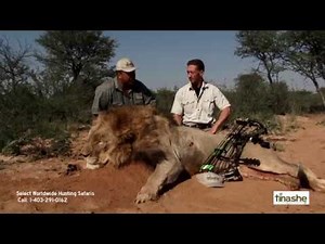 Tinashe Hunting Safaris - Lion Bow-hunt with Mark Zimmermann