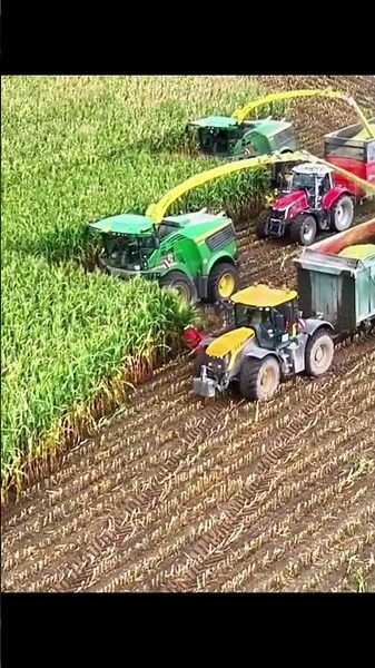 Amazing Tractor Flame Weeder in Action | Modern Farming Technology 2025