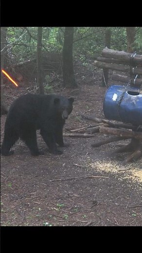 HUGE BEAR SHOT With Seconds To Spare