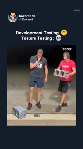 Development Testing: 🤭Testers Testing : 💀 #meme