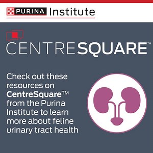 25K views · 29 reactions | Did you know healthy cats may benefit from...