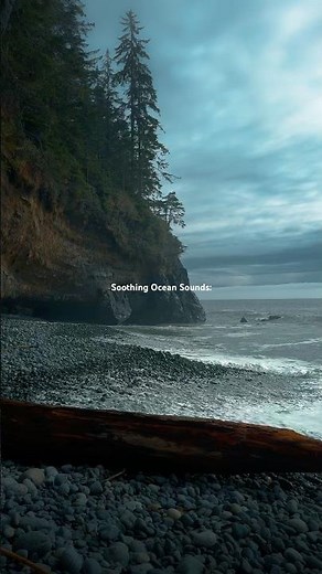 Ocean Sounds and Crashing Waves 🌊