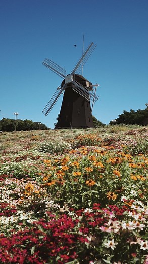 Gabbi Garcia ♡ | still not over my solo trip. she’s a happy girl ☺️ | Instagram