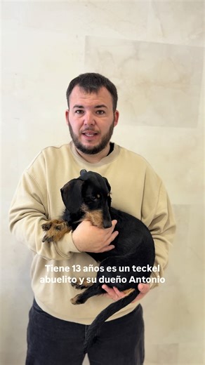 Su dueño está enfermo 💔 Comparte este vídeo, adopta o colabora ahora para que podamos salvar más vidas en www.fundacionanimalrescue.org BIZUM ONG: 08002 #AnimalRescue #perros #adopta #ayuda #teckel