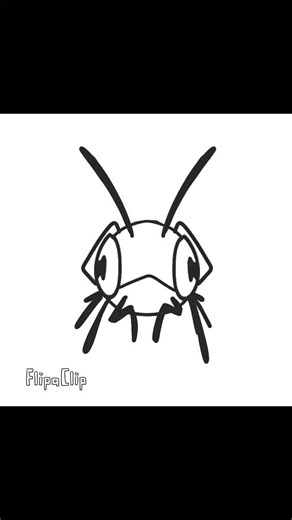 Silly Insect Animation Featuring Cute Hummingbird Creatures