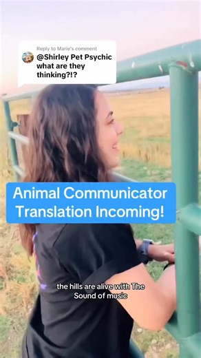 Shirley Hyatt on Instagram: "These cows really enjoyed the performance! They were confused, amazed, surprised, and delighted! I hope they get to hear more beautiful singing! 🎶 #animalcommunicator #animalcommunication #talktoanimals #farmanimals #cows"