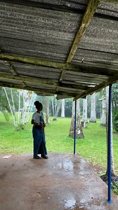 When a seed is planted, it doesn’t grow overnight. It takes time to germinate beneath the surface before it sprouts. Growth takes patience, time, and care—just because you can’t see it, doesn’t mean it isn’t happening. Continue to water and wait patiently, for in time, your fruits will bear. 🌱 - Hirute Selassie | Hempress Sativa