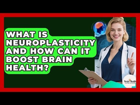 What Is Neuroplasticity And How Can It Boost Brain Health? - Brain Health Support Network