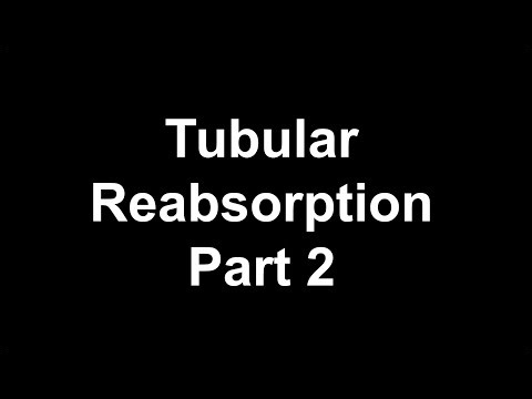 Tubular reabsorption part 2