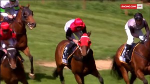 32 reactions | "He's fantastic, beautiful horse and he's got the best temperament." Danielle Chapman is reaping the rewards with $2,500 purchase, Haystacks Calhoun. Kia Australia | Racing.com | Facebook