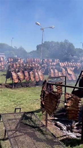 Ahora carne de burro comen los boludos.