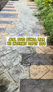 Buat emak-emak yg suka Motret bunga wajib buat jual fotonya ke internet biar dapet $$$ 😍😍 #fypjangkauanluas #fypreels #fyp #fypchallenge | Fajrul Islam