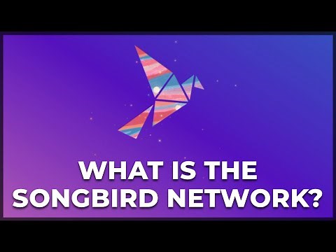 Songbird Network - What is it? (Under 5 Minutes)!