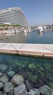 Lobster Hatching eggs Marsal al Arab Marina 🇦🇪