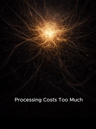 The Influence of Efficiency on Perception and Cognition