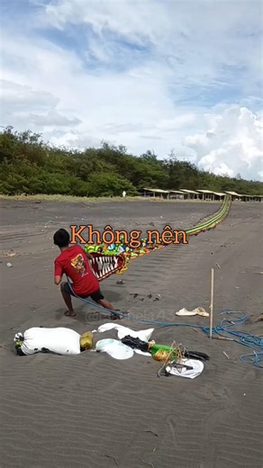 What should be used to make a dragon kite? Clams, piter feathers, or dragon scales?