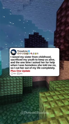 u/Artishockers I raised my sister from childhood, sacrificed my entire youth to keep us alive, and the one time I asked her for help when I was homeless she told me no, so I cut her out of my life completely. 0:00 Original Post 2:45 Update #reddit #storytime #redditstories #minecraft_parkour #fyp
