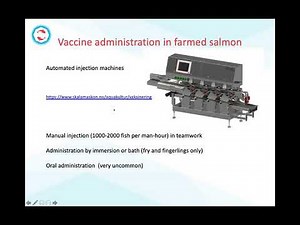 3. Current Use, and Need for New Vaccines for Finfish Aquaculture