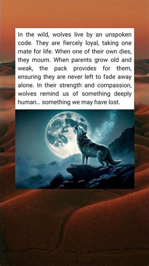 The Secret Life of Wolves Revealed