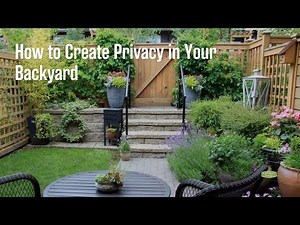 How to Create Privacy in Your Backyard