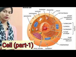मानव कोशिका | Human Cell | Types of cell | Biology | Part - 1#biology #cbse #science #cell