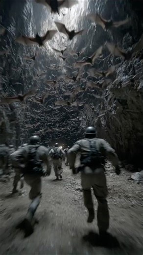 Gigantic Bat Colony Discovered in Abandoned Mine in Romania