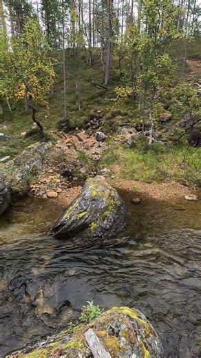 Hammastunturin erämaassa syksyllä 2.9.2025.