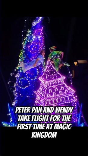 Peter Pan and Wendy have taken Flight 🥹 #disney #disneyworld #disneystarlight #disneyparks