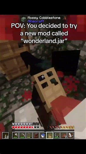 POV: You decided to try a new mod called "wonderland,jar"