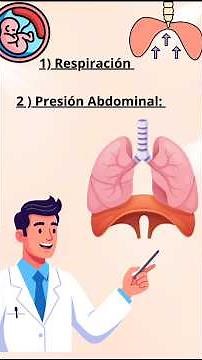 Función del Diafragma son 2: Respiración ( inhalación, Exhalación) y Presión abdominal.