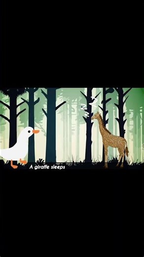 The sleep cycle of giraffe || wildlife #shorts