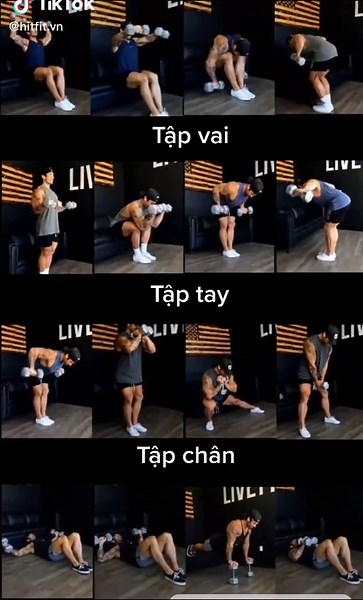 Effective Dumbbell Exercises for Muscle Building