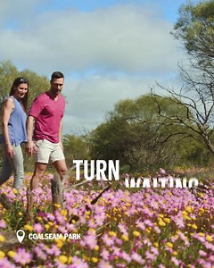 5.9K views · 404 reactions | Otherwordly adventures await in Western Australia. Go on, turn waiting into planning today. | Western Australia | Facebook