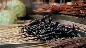 Black scorpion walking closeup Animals