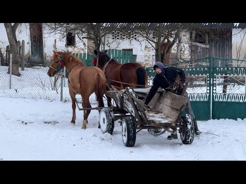 Discovering the Carpathians: A Young Man's Farming Adventure