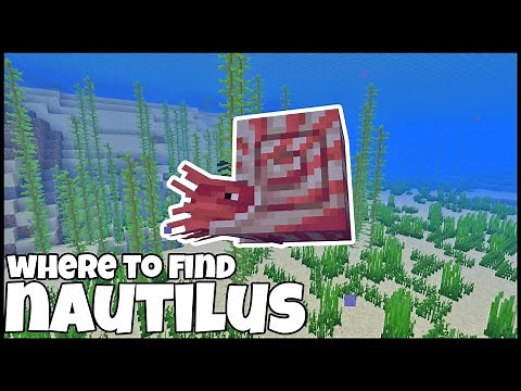 Where To Find The NAUTILUS In MINECRAFT