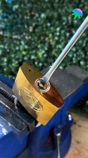 173K views · 171 reactions | Tried this screwdriver trick to pull out a broken key 瀞 | Genius Inventions | Facebook