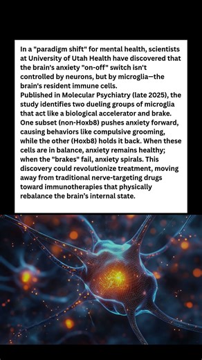 Your Brain Has a Secret Anxiety Switch! 🧠🔓 #wildlife #facts #shorts